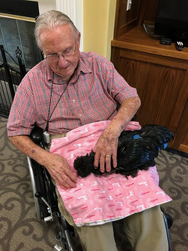 Cache Valley Assisted Living Chickens